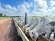 Athian Verifies and Sells First Sustainability Insets for Brazilian Beef