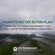 U.S. Endowment releases national Markets Matter Action Plan to rebuild markets for forest residuals