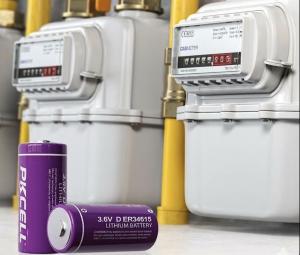 pkcell_er34615_smart_meter_power