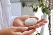 The Living Urn Introduces Living Stones for Pets, Handcrafted Cremation Stone Keepsakes for Dogs, Cats and Other Animals