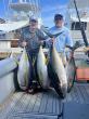 Big Yellowfin Tuna Arrive in Cabo San Lucas as Summer Sportfishing Action Surges