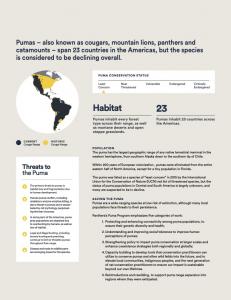 Panthera Fact Sheet
