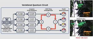 Four-qubit variational quantum circuit diagram with tomato ripeness classification examples comparing a YOLOv8 baseline and a quantum-classical hybrid model.