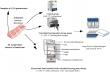 Electrostatic fields slow pork glycolysis during near-freezing storage