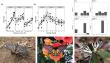 Butterflies reveal hidden signs of ecosystem health and habitat change
