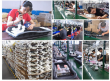 A Sourcing Guide to Jialekang: China Top Custom Head Massager Solution Provider with ISO13485 Standards