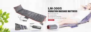Full Body Massage Mattress - 2