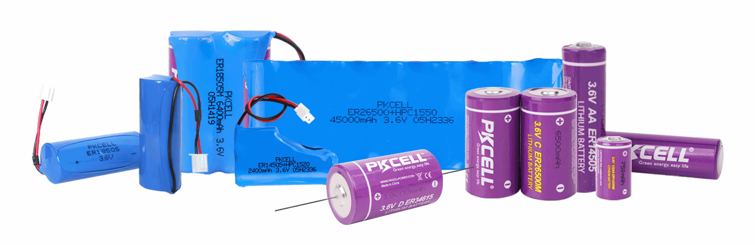 A Complete Guide to Selecting the Right Custom LiSOCl2 Battery Pack Factory for Industrial Applications