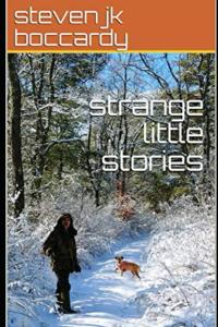 Author Steven JK Boccardy introduces Strange Little Stories, a revised collection of short fiction that combines real-life experiences with imaginative storytelling to create an entertaining and thought-provoking reading experience strange little stories by steven jk boccardy