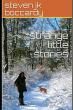 Strange Little Stories Blends Reality and Imagination in an Unforgettable Collection of Short Fiction