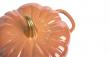 Larder & Vine Introduces the Harvest Pumpkin Dutch Oven Inspired by the French Musquée de Provence