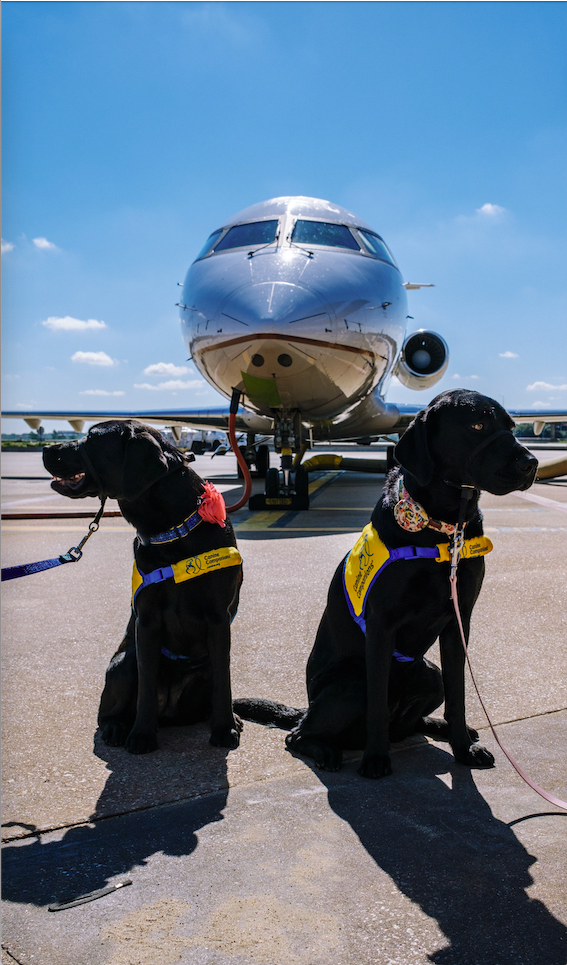 Global brands back benefits of highly-trained assistance dogs