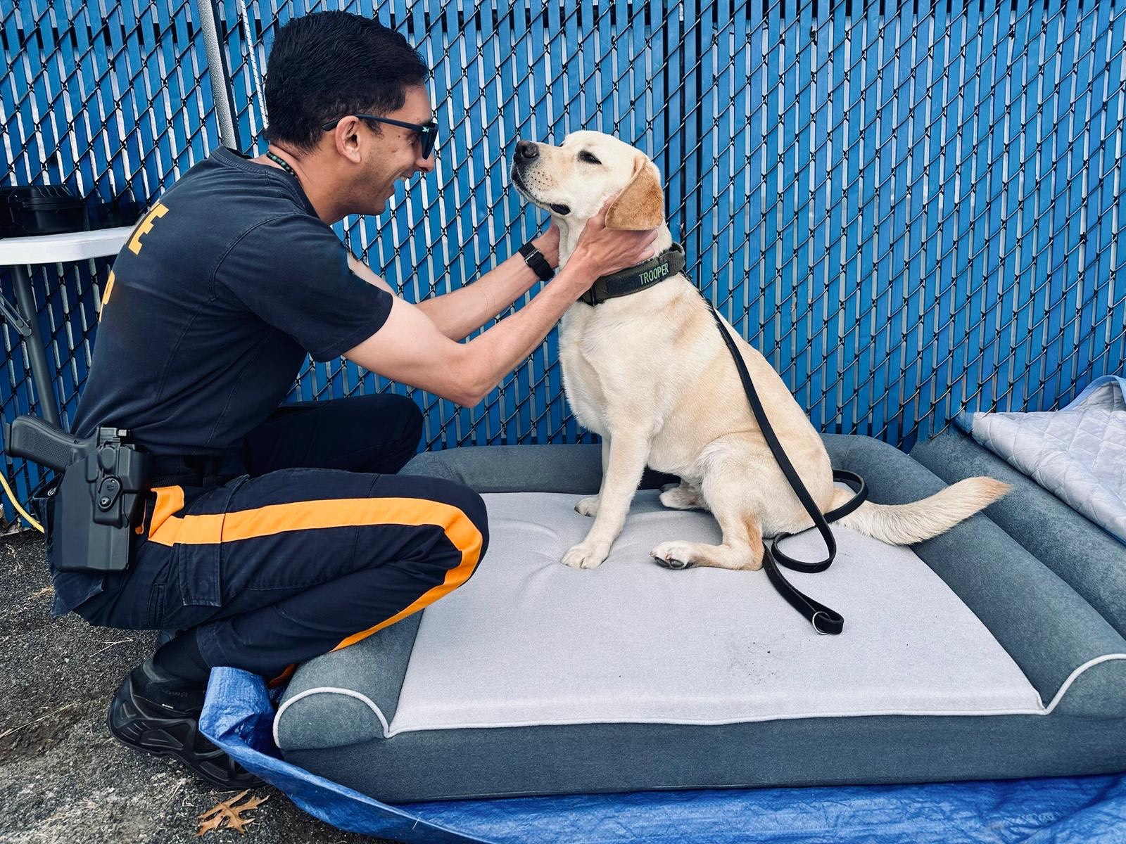 Dog Cloud Serves as K9 Recovery Partner at the 2026 World Cup