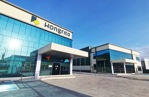 Custom LSR Mold Manufacturing Services Supplier