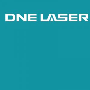 DNE LASER (Guangdong) Co., Ltd. logo