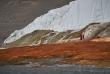 Ancient marine life may be hiding in Antarctica’s Blood Falls 