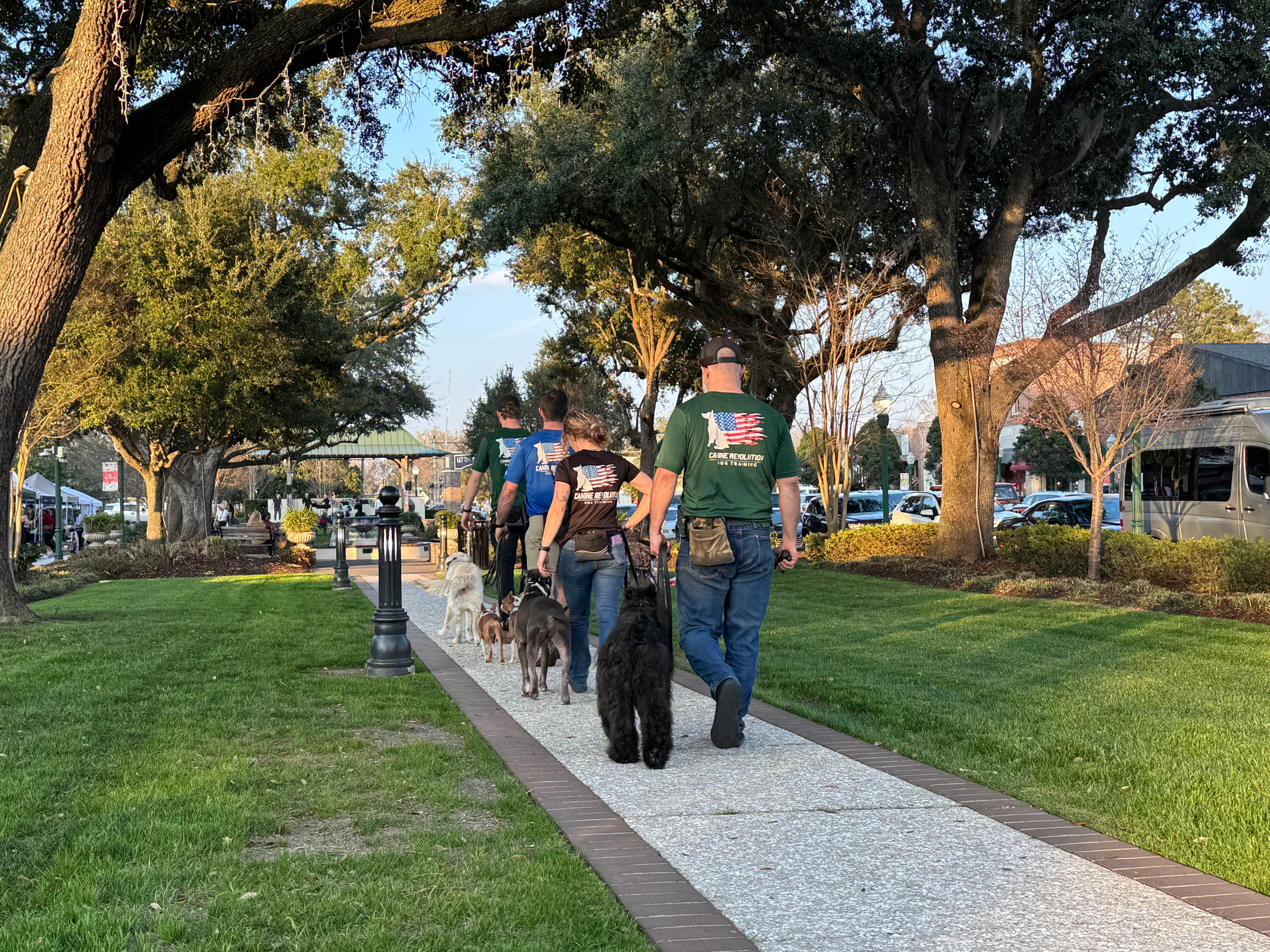 CANINE REVOLUTION DOG TRAINING NAMED BEST DOG TRAINER IN SUMMERVILLE JOURNAL SCENE 2026 READERS’ CHOICE AWARDS
