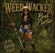 Bottle Rocket Records Teams With Country Soul Artist Extraordinaire Brei Carter
