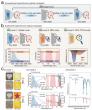 Dual-band hydrochromic optical modulator for multimodal anticounterfeiting and encryption