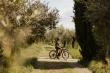 Europe’s Top Coolcation Cycling Escapes for Summer 2026