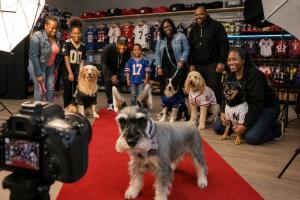 Buddy, a gray schnauzer wearing a plaid bow tie, stands on a red carpet inside a dog-apparel store while families and dogs in football and baseball jerseys gather for a professional photo shoot.
