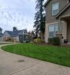 NW Evergreen Landscape LLC Responds to Growing Demand for Professional Lawn Care Across Aurora and Nearby Communities