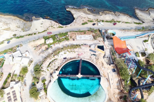 Dolphins at Mediterraneo Park Malta