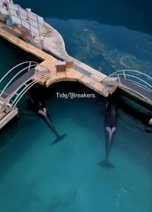Wikie and her son Keijo in the shuttered marine park, Marineland Antibes, in France