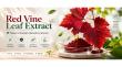Red Vine Leaf Extract Market Reaches US$9.9 Billion by 2033 Driven by Wellness