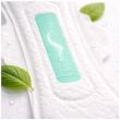Goodfeelcare Expands Online Availability Through Amazon India, Strengthening Access to Premium Feminine Hygiene Products