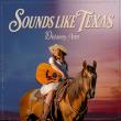 Texas Singer-Songwriter Delaney Ann Releases ‘Sounds Like Texas’ Album