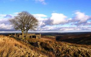 A website originally created to help visitors discover the historic village of Haworth is attracting growing international attention for an entirely different reason Top Withens, location for Wuthering Heights