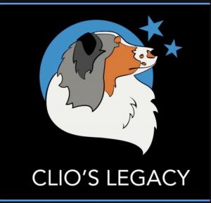 Clio's Legacy is where you collect memorabilia with a mission.
