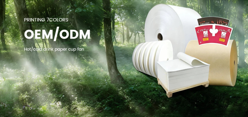 Lvke Paper: Top 10 Paper Cup Roll Manufacturer Leading the Sustainable Packaging Revolution