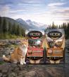 VICTOR Pet Food Expands Freeze-Dried Raw Lineup Recipes for Cats