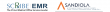 ScribeEMR and Sandiola™ Announce Partnership to Offer Enhanced RCM and AI-Powered Total CDI