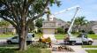 McCullough Tree Service Expands Tree Removal in Winter Garden, FL to Meet Growing Storm Season Demand