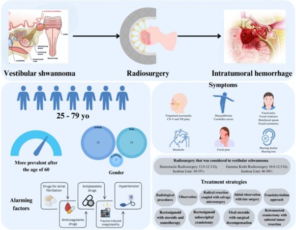 Systematic Review in Chinese Neurosurgical Journal Examines Rare Tumor Bleeding