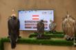 European Falcon Farms Expand Presence at Saudi Auction as Investor Interest Grows