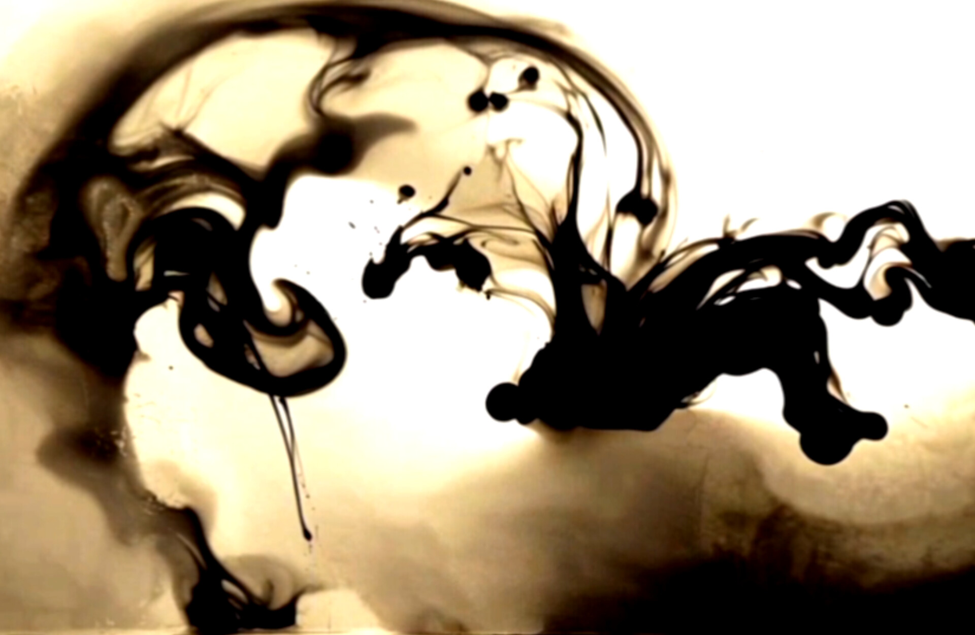 Colloquia Presents ‘Lorna Moore. Becoming Shadow’