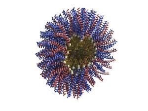 CNJCN_87_2_2