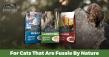 Fussie Cat Launches Essence Dry Food Line With Over 86% of Protein From Animal Sources