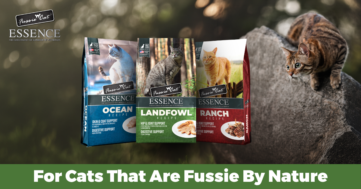 Fussie Cat Launches Essence Dry Food Line With Over 86% of Protein From Animal Sources