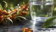 Experience Holistic Wellness with Laicuherb: Buy Omega-7 Sea Buckthorn Oil Capsules Featuring cGMP Certified Quality