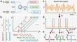Multifunctional frequency modulated continuous wave LiDAR for simultaneous 3D imaging and multi-parameter sensing