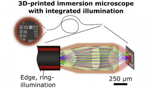 This article pioneers a new endoscope architecture, reducing the size of ultrathin endoscopes to improve the access to thin luminal organs in endoscopic interventions