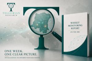 Weekly Report Launch
