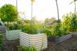 Epic Gardening Launches Its First Branded Raised Garden Bed Collection 