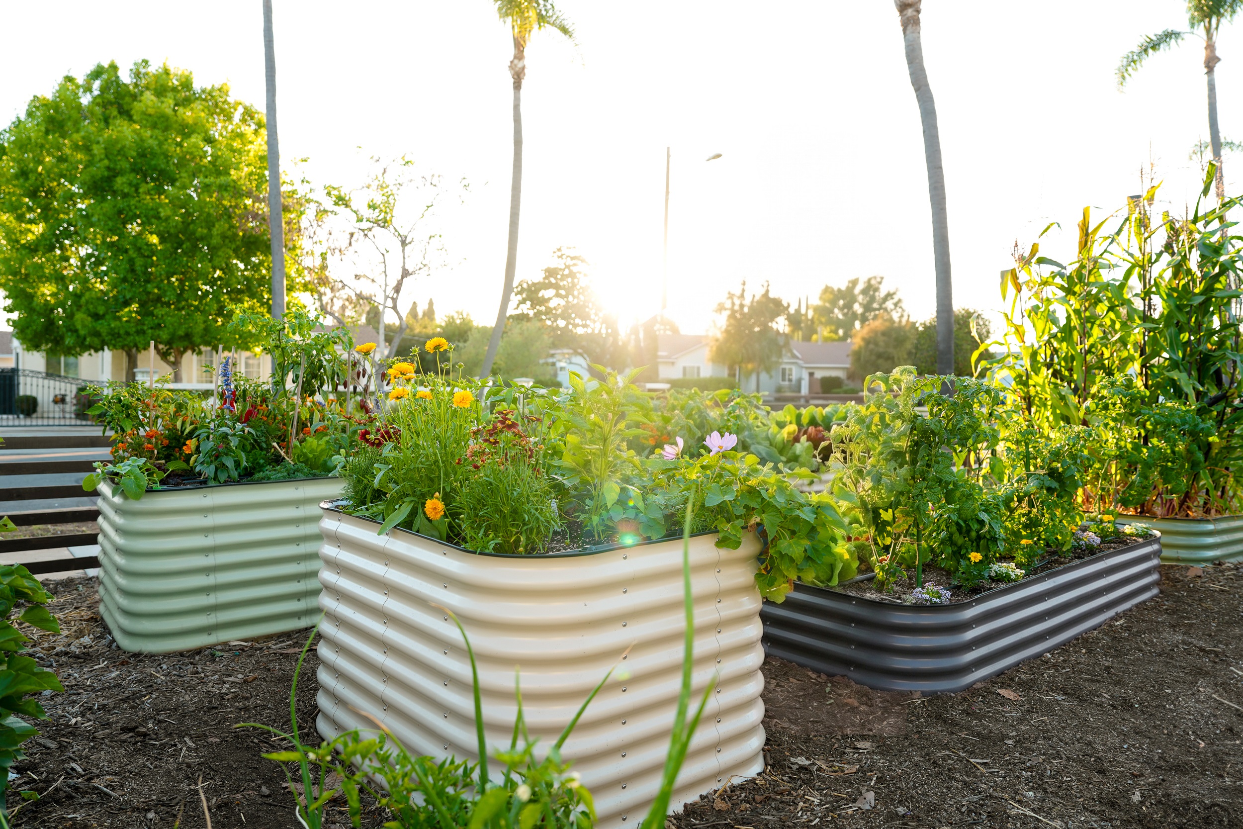 Epic Gardening Launches Its First Branded Raised Garden Bed Collection