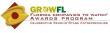 The Rise Collective Named Finalist for 16th Annual GrowFL Florida Companies to Watch Awards